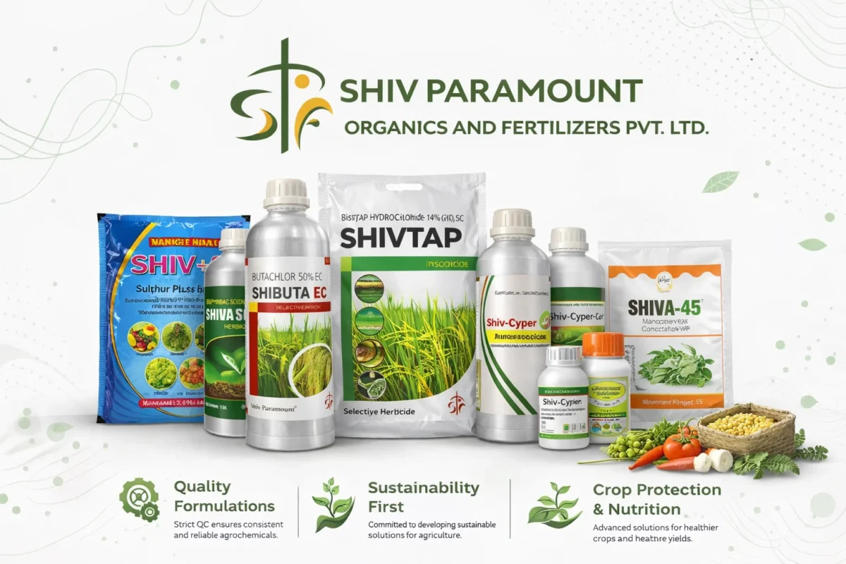 shiv paramount feature image