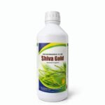 Shiva Gold | Hexaconazole 5 SC Chemical Fungicide