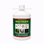 SHIVA-THRUM EC | Pyrethrum 2% EC